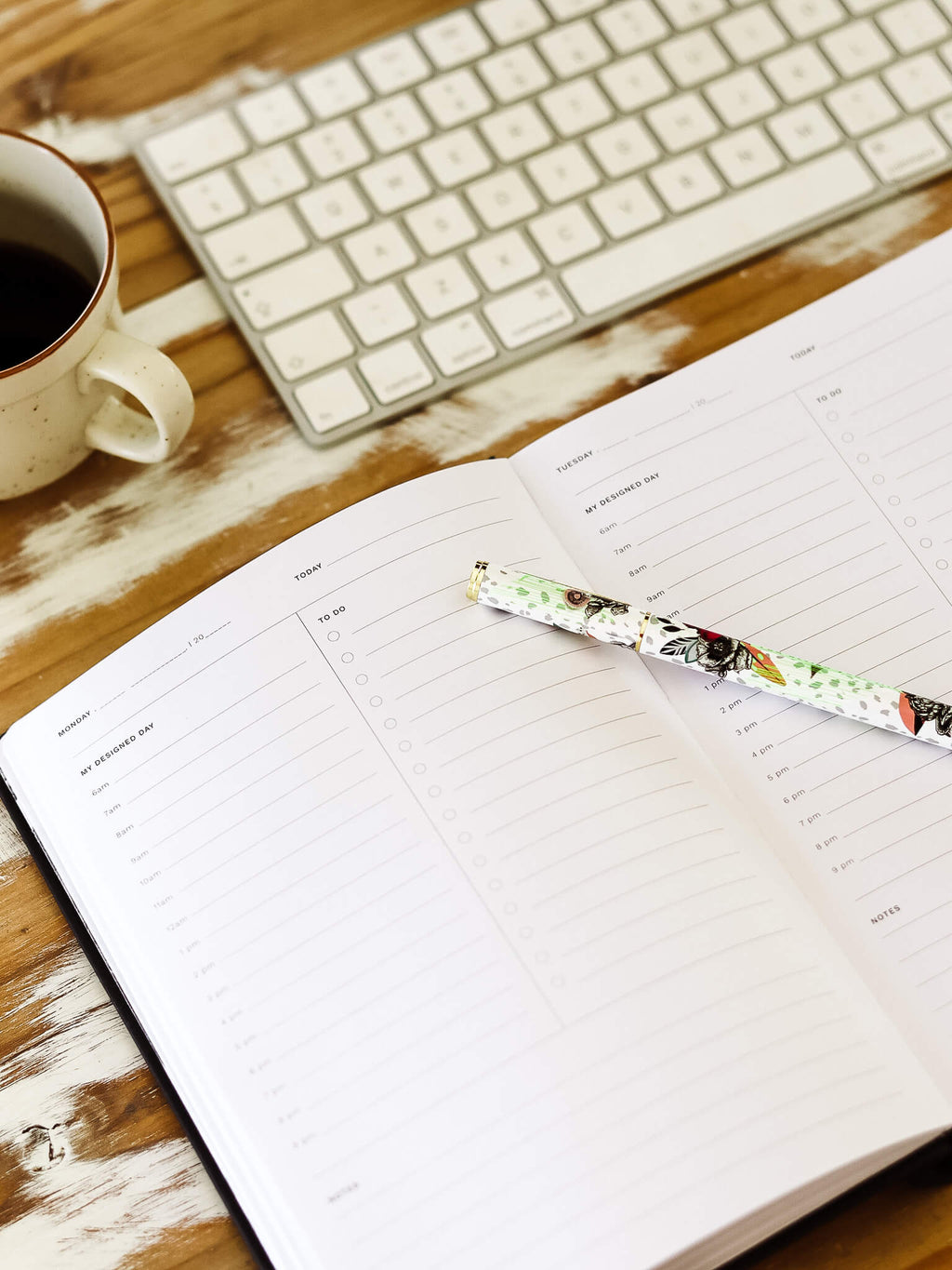 Graphic Designers' Playbook in Desert Night Sky