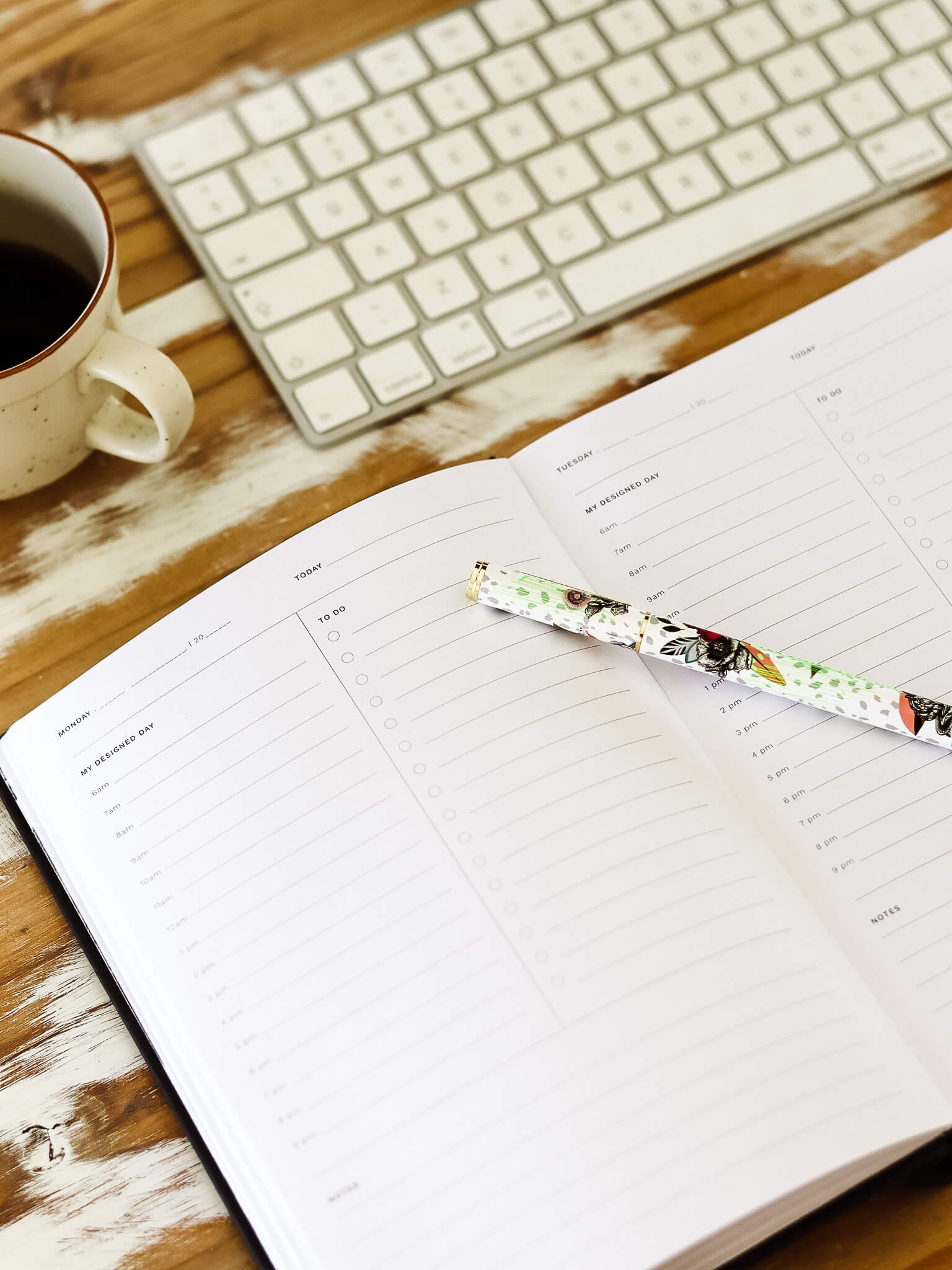 Graphic Designers' Playbook in Desert Night Sky